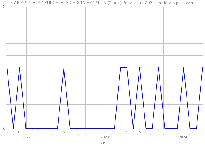 MARIA SOLEDAD BURGALETA GARCIA MANSILLA (Spain) Page visits 2024 
