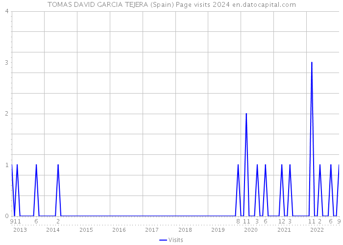 TOMAS DAVID GARCIA TEJERA (Spain) Page visits 2024 