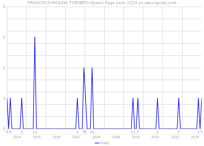 FRANCISCO MOLINA TORNERO (Spain) Page visits 2024 