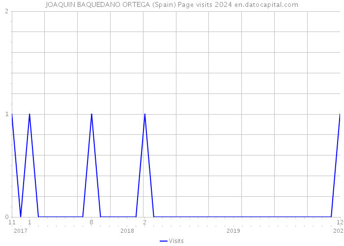 JOAQUIN BAQUEDANO ORTEGA (Spain) Page visits 2024 