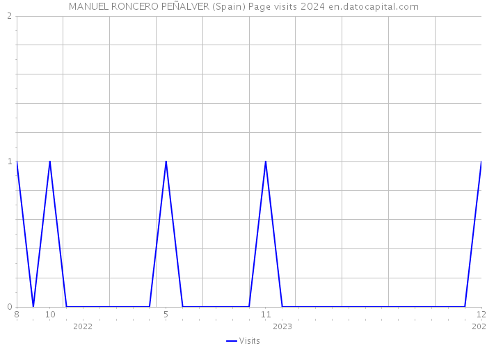 MANUEL RONCERO PEÑALVER (Spain) Page visits 2024 