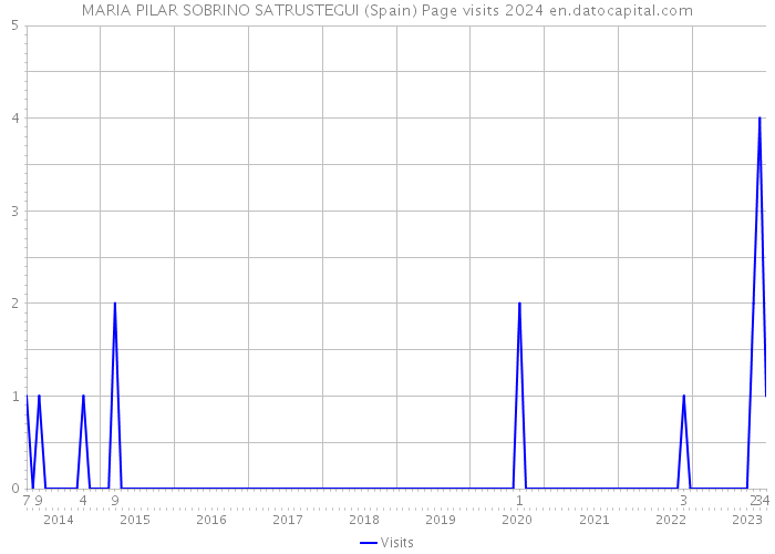 MARIA PILAR SOBRINO SATRUSTEGUI (Spain) Page visits 2024 