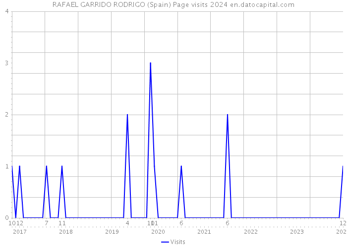 RAFAEL GARRIDO RODRIGO (Spain) Page visits 2024 