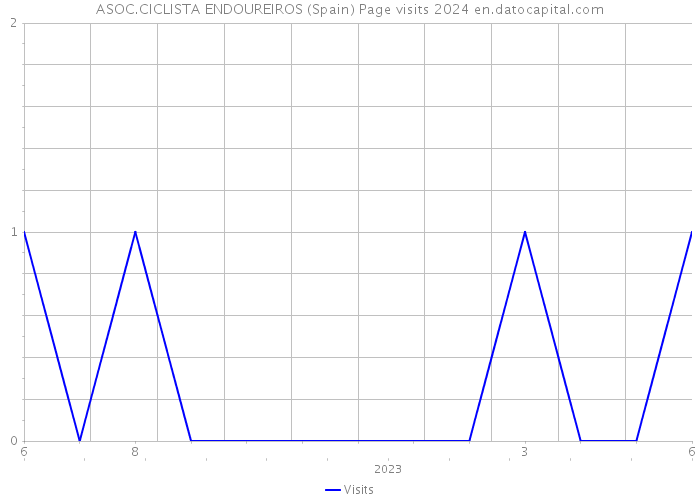 ASOC.CICLISTA ENDOUREIROS (Spain) Page visits 2024 