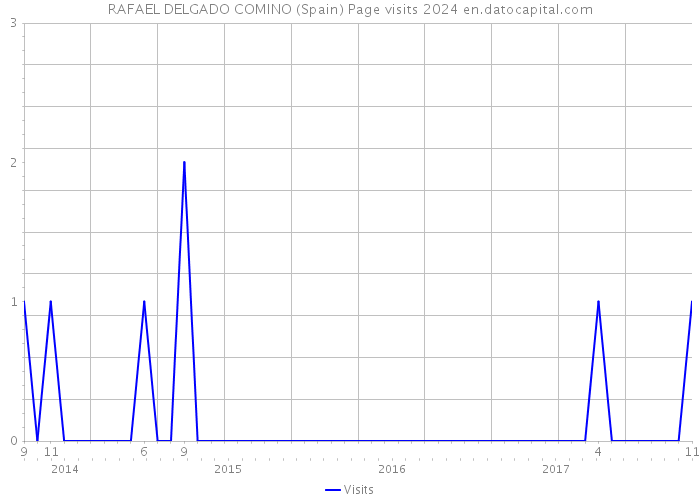 RAFAEL DELGADO COMINO (Spain) Page visits 2024 