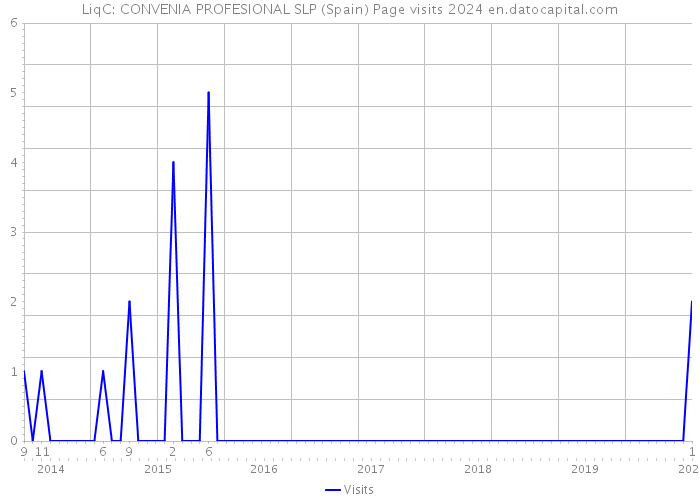 LiqC: CONVENIA PROFESIONAL SLP (Spain) Page visits 2024 