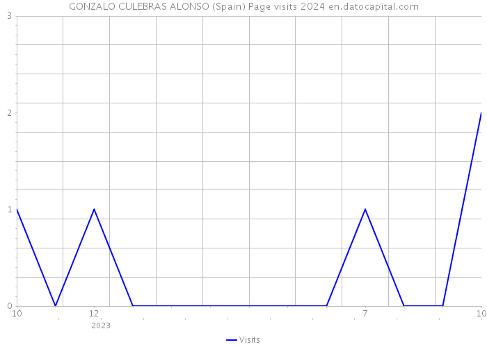GONZALO CULEBRAS ALONSO (Spain) Page visits 2024 