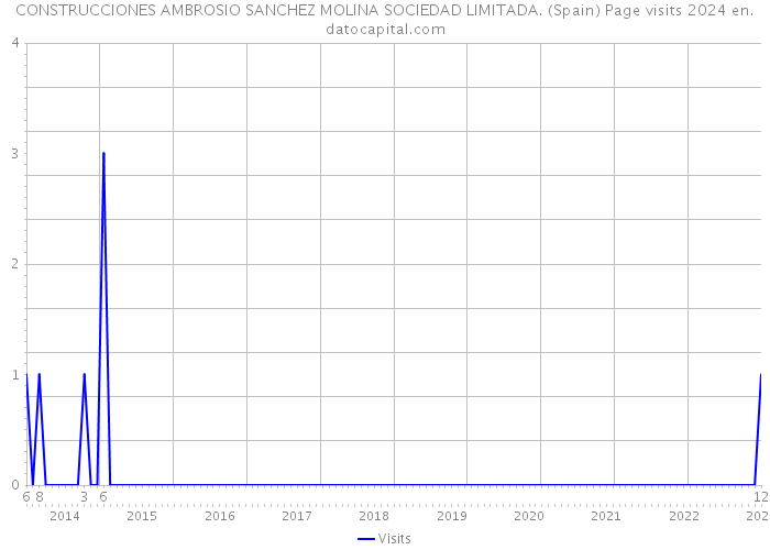 CONSTRUCCIONES AMBROSIO SANCHEZ MOLINA SOCIEDAD LIMITADA. (Spain) Page visits 2024 