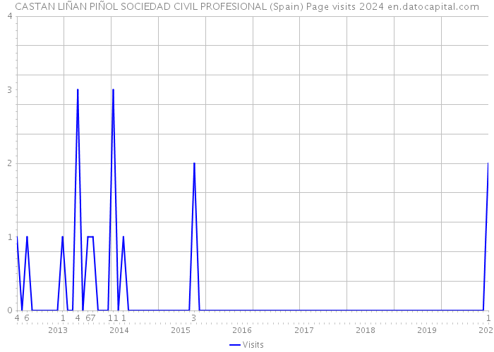 CASTAN LIÑAN PIÑOL SOCIEDAD CIVIL PROFESIONAL (Spain) Page visits 2024 