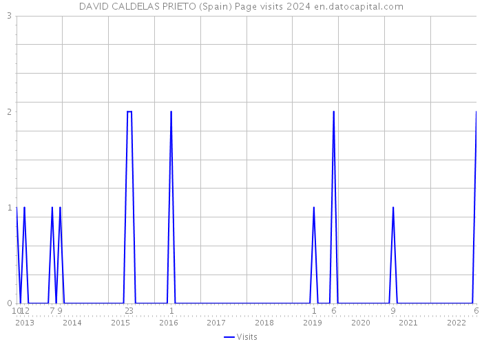 DAVID CALDELAS PRIETO (Spain) Page visits 2024 