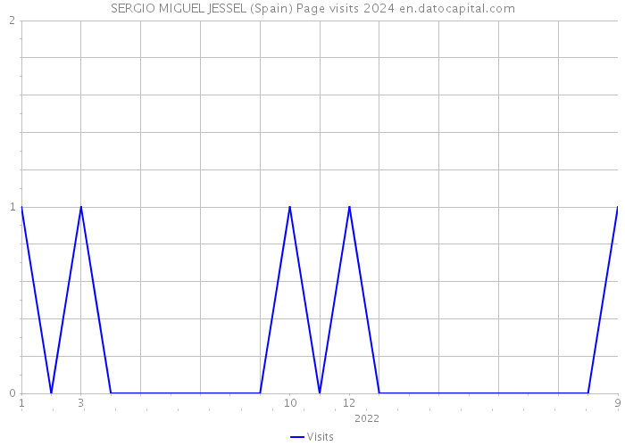 SERGIO MIGUEL JESSEL (Spain) Page visits 2024 