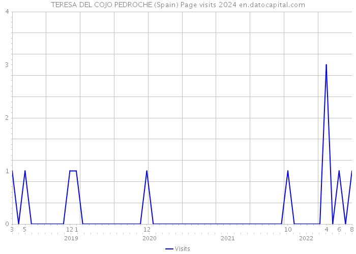 TERESA DEL COJO PEDROCHE (Spain) Page visits 2024 