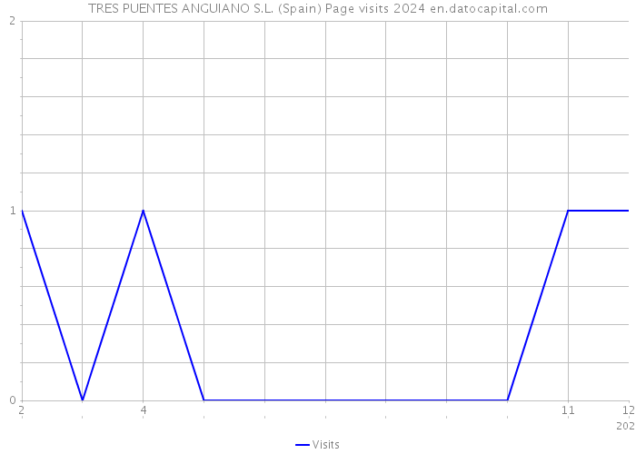 TRES PUENTES ANGUIANO S.L. (Spain) Page visits 2024 