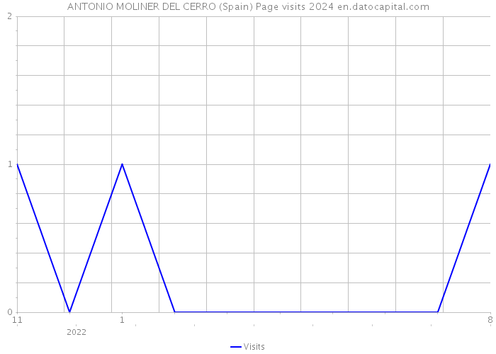 ANTONIO MOLINER DEL CERRO (Spain) Page visits 2024 