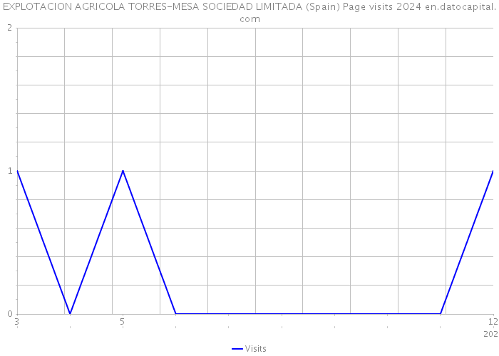 EXPLOTACION AGRICOLA TORRES-MESA SOCIEDAD LIMITADA (Spain) Page visits 2024 