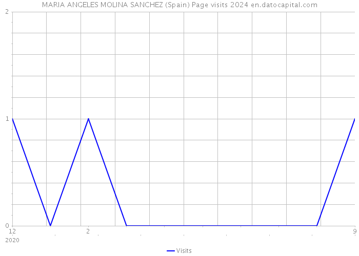 MARIA ANGELES MOLINA SANCHEZ (Spain) Page visits 2024 