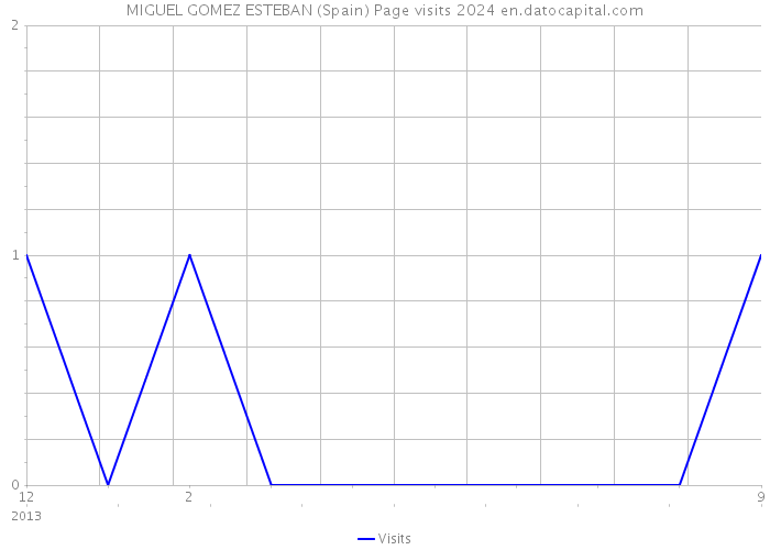 MIGUEL GOMEZ ESTEBAN (Spain) Page visits 2024 
