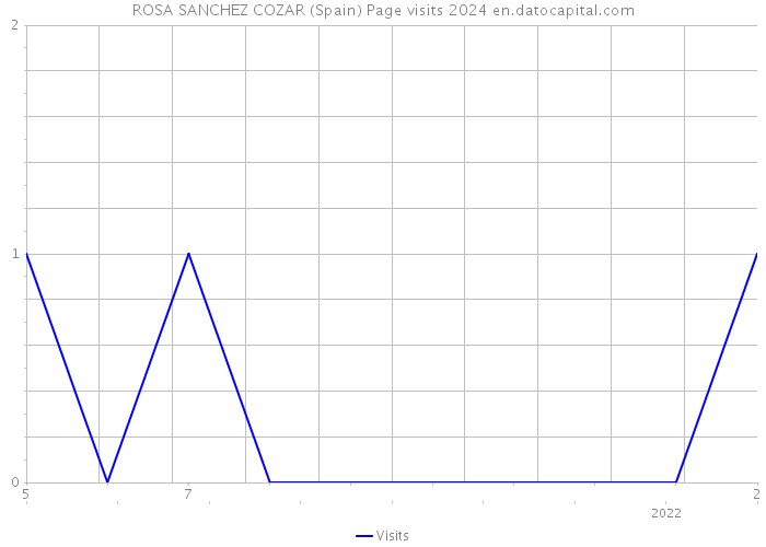 ROSA SANCHEZ COZAR (Spain) Page visits 2024 