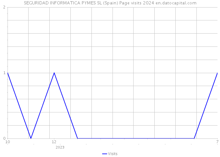 SEGURIDAD INFORMATICA PYMES SL (Spain) Page visits 2024 