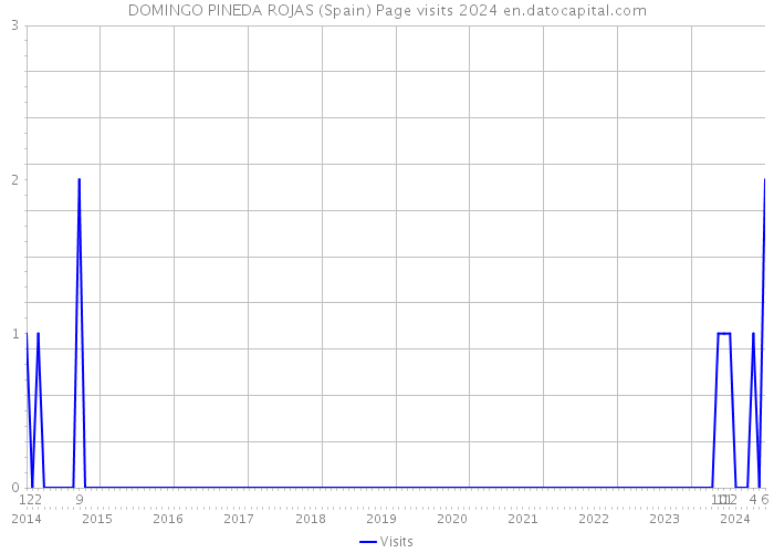 DOMINGO PINEDA ROJAS (Spain) Page visits 2024 
