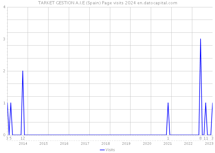 TARKET GESTION A.I.E (Spain) Page visits 2024 