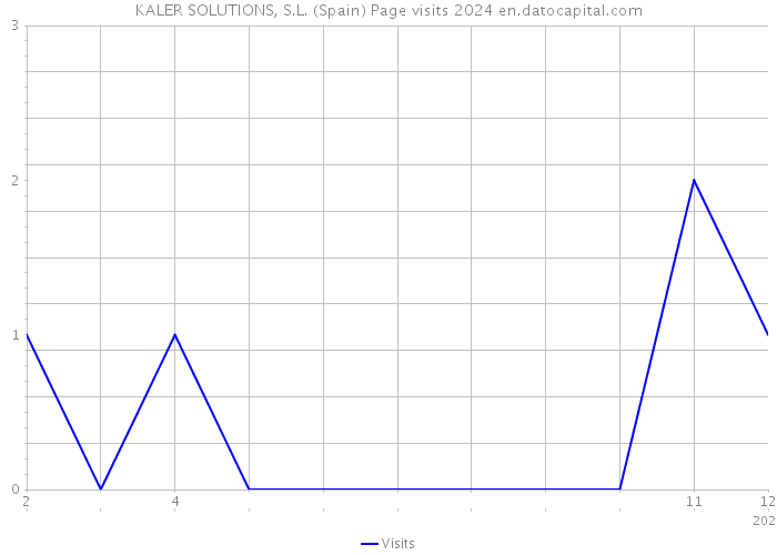 KALER SOLUTIONS, S.L. (Spain) Page visits 2024 
