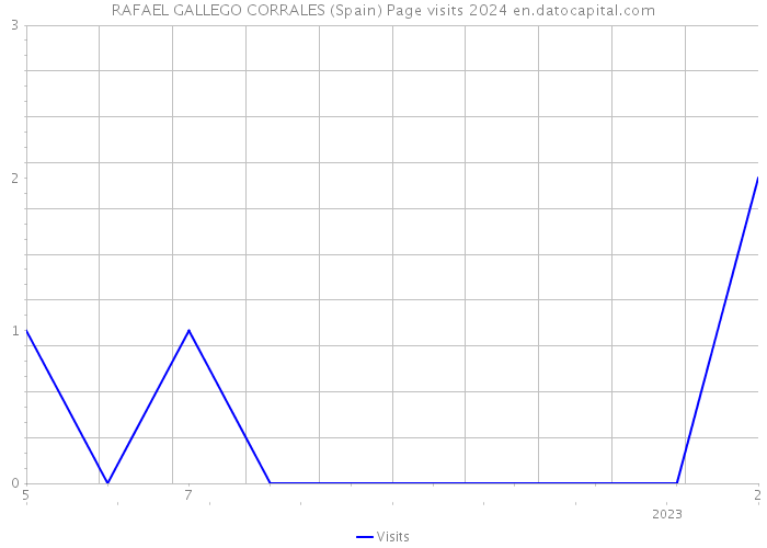 RAFAEL GALLEGO CORRALES (Spain) Page visits 2024 