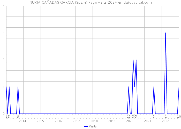 NURIA CAÑADAS GARCIA (Spain) Page visits 2024 