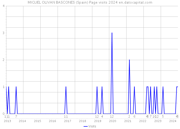 MIGUEL OLIVAN BASCONES (Spain) Page visits 2024 