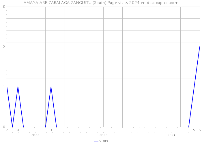 AMAYA ARRIZABALAGA ZANGUITU (Spain) Page visits 2024 