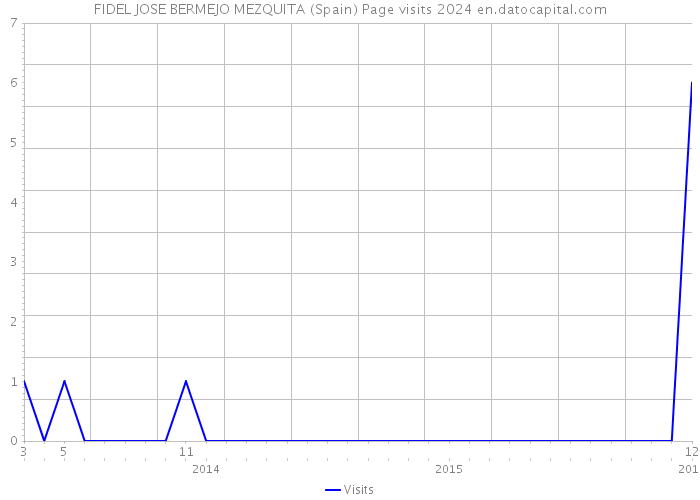FIDEL JOSE BERMEJO MEZQUITA (Spain) Page visits 2024 