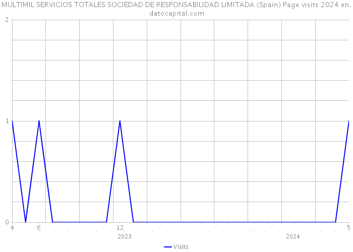 MULTIMIL SERVICIOS TOTALES SOCIEDAD DE RESPONSABILIDAD LIMITADA (Spain) Page visits 2024 