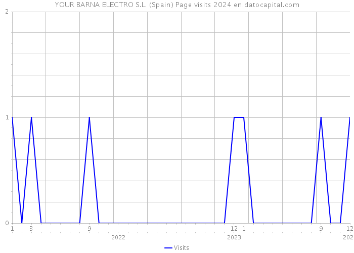 YOUR BARNA ELECTRO S.L. (Spain) Page visits 2024 
