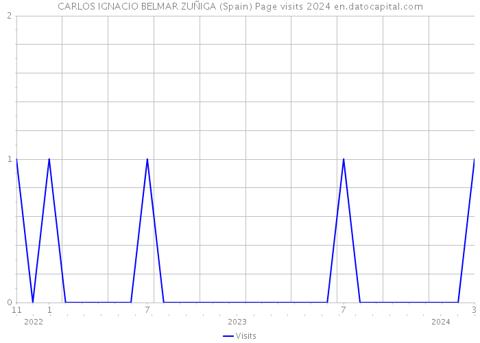 CARLOS IGNACIO BELMAR ZUÑIGA (Spain) Page visits 2024 