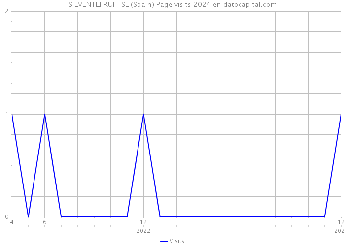 SILVENTEFRUIT SL (Spain) Page visits 2024 