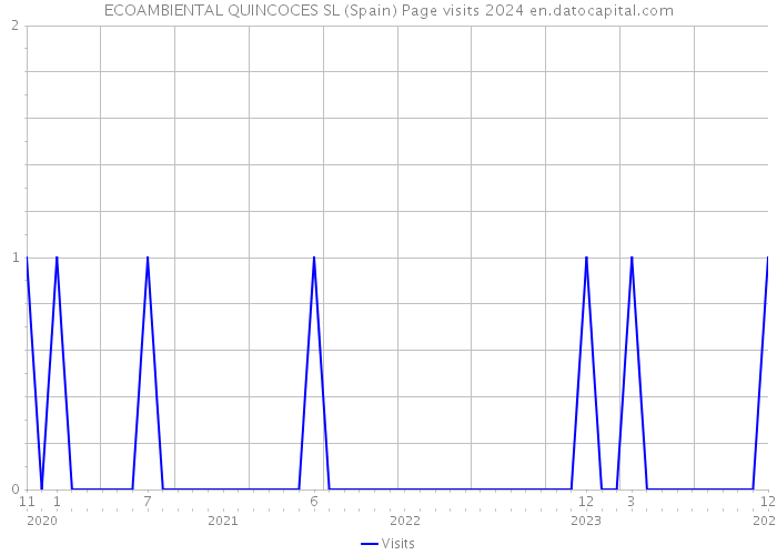ECOAMBIENTAL QUINCOCES SL (Spain) Page visits 2024 