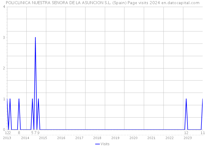 POLICLINICA NUESTRA SENORA DE LA ASUNCION S.L. (Spain) Page visits 2024 