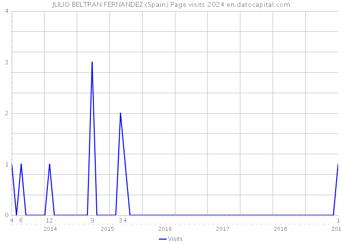JULIO BELTRAN FERNANDEZ (Spain) Page visits 2024 