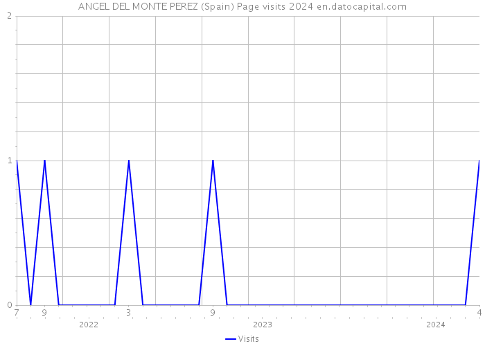 ANGEL DEL MONTE PEREZ (Spain) Page visits 2024 