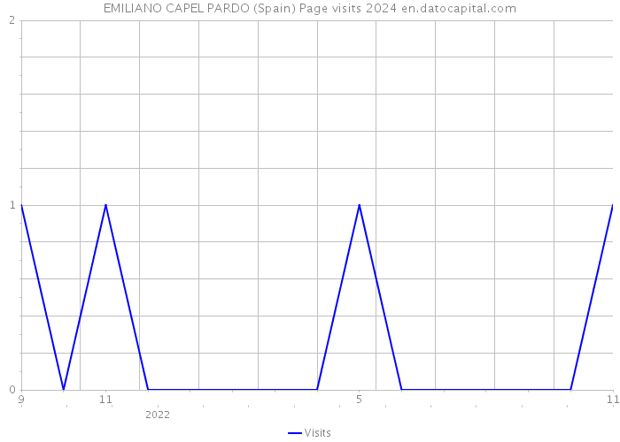 EMILIANO CAPEL PARDO (Spain) Page visits 2024 