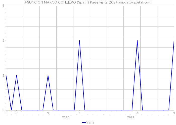ASUNCION MARCO CONEJERO (Spain) Page visits 2024 