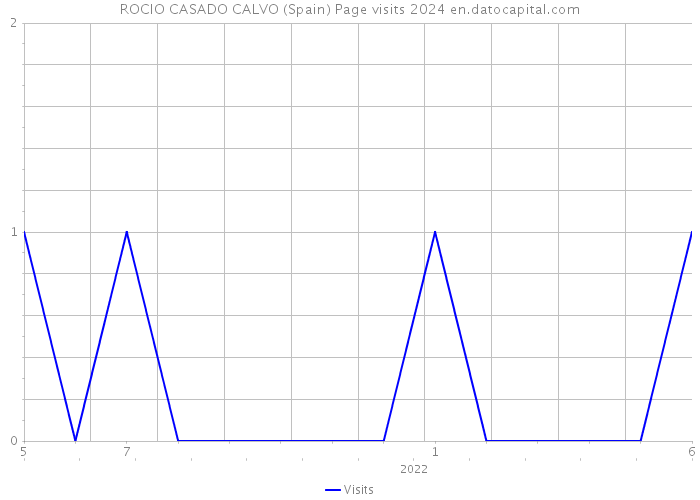 ROCIO CASADO CALVO (Spain) Page visits 2024 