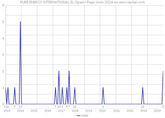 PURE ENERGY INTERNATIONAL SL (Spain) Page visits 2024 