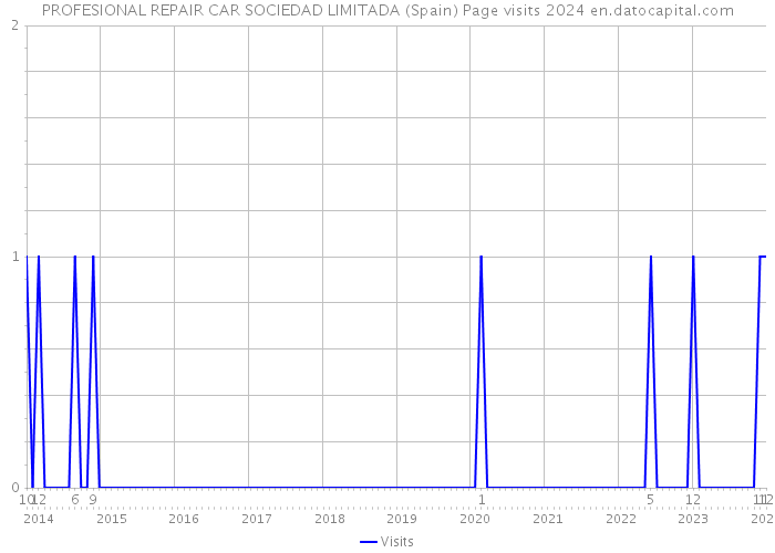 PROFESIONAL REPAIR CAR SOCIEDAD LIMITADA (Spain) Page visits 2024 