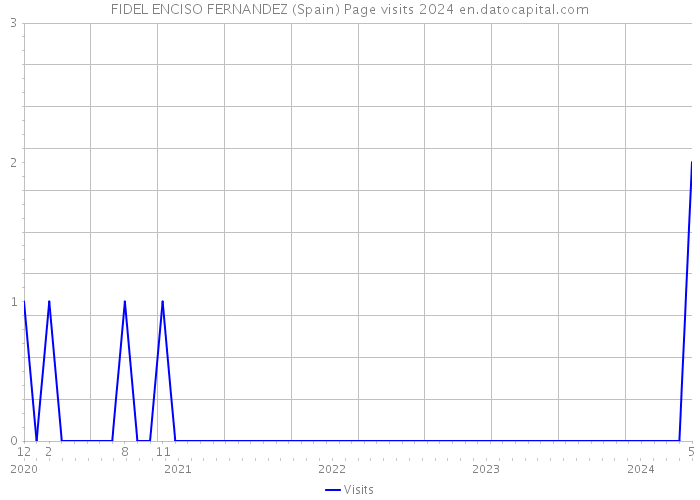 FIDEL ENCISO FERNANDEZ (Spain) Page visits 2024 