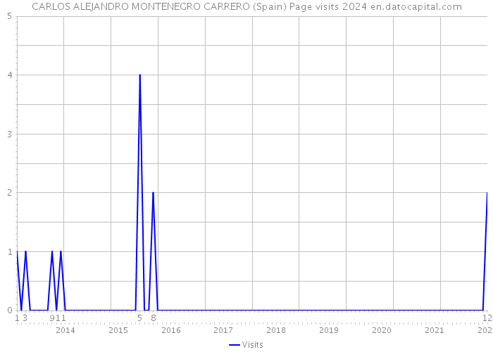 CARLOS ALEJANDRO MONTENEGRO CARRERO (Spain) Page visits 2024 