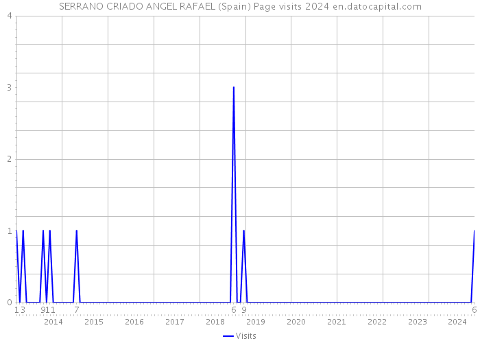 SERRANO CRIADO ANGEL RAFAEL (Spain) Page visits 2024 