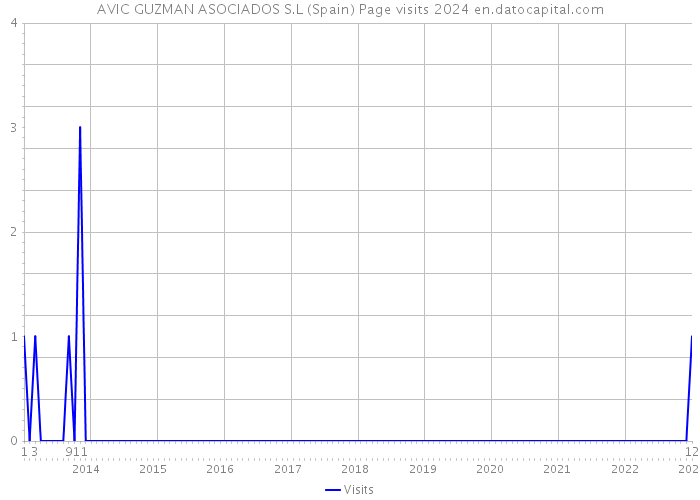 AVIC GUZMAN ASOCIADOS S.L (Spain) Page visits 2024 