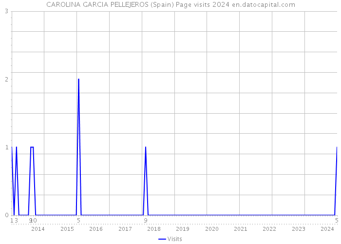 CAROLINA GARCIA PELLEJEROS (Spain) Page visits 2024 