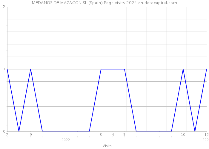 MEDANOS DE MAZAGON SL (Spain) Page visits 2024 